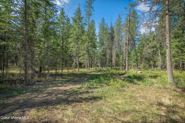 L3 Smokewood Dr, Athol, ID 83801 - photo 4