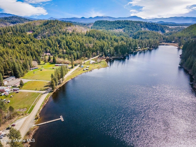 L3 Smokewood Dr, Athol, ID 83801 - photo 7