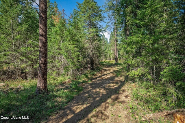 L3 Smokewood Dr, Athol, ID 83801 - photo 8
