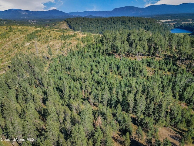 L3 Smokewood Dr, Athol, ID 83801 - photo 12