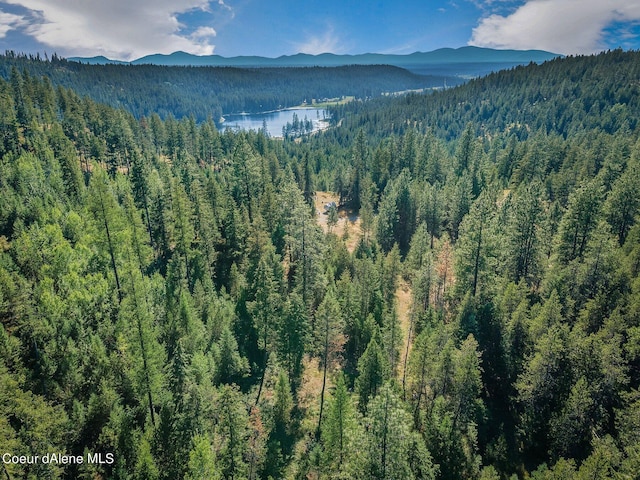 L3 Smokewood Dr, Athol, ID 83801 - photo 13