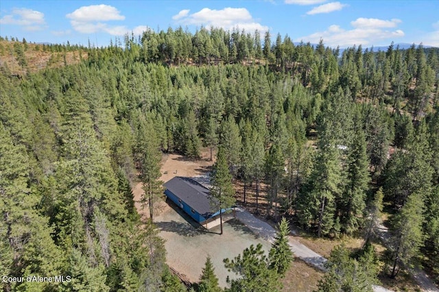 165 Smokewood Dr, Athol, ID 83801 - photo 39
