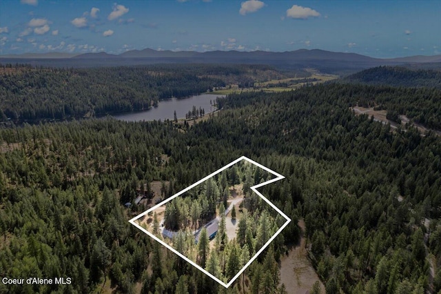 165 Smokewood Dr, Athol, ID 83801 - photo 42