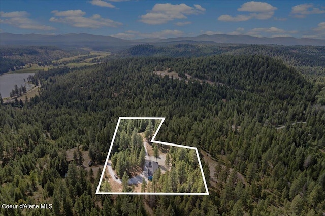 165 Smokewood Dr, Athol, ID 83801 - photo 44