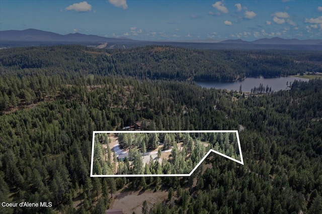 165 Smokewood Dr, Athol, ID 83801 - photo 46