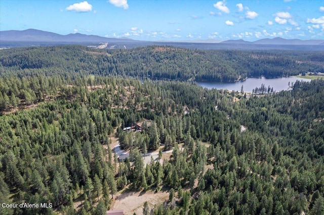 165 Smokewood Dr, Athol, ID 83801 - photo 47