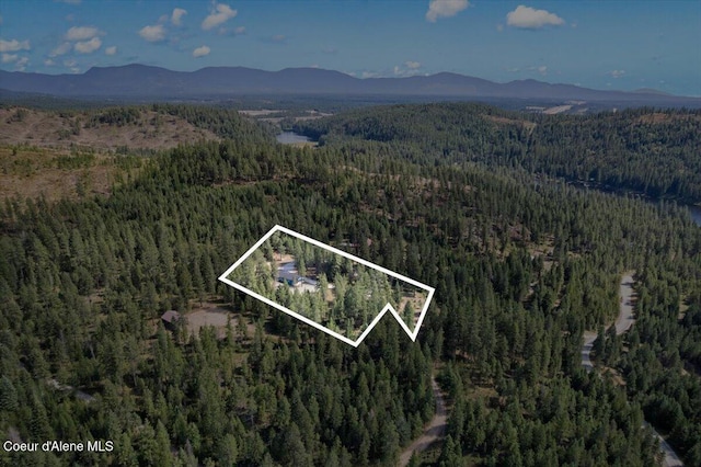 165 Smokewood Dr, Athol, ID 83801 - photo 48
