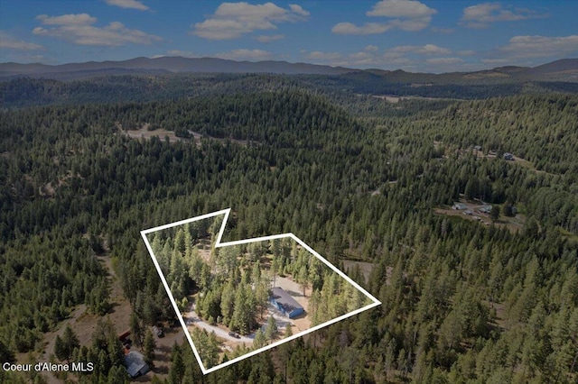 165 Smokewood Dr, Athol, ID 83801 - photo 52