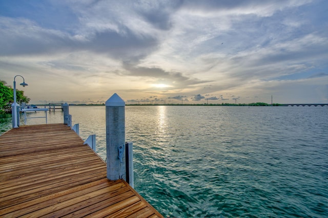 dock area with a water view