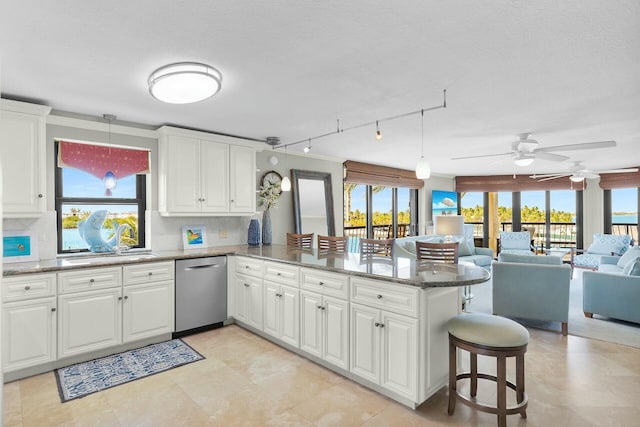 kitchen with dishwasher, a sink, ceiling fan, a wealth of natural light, and a peninsula