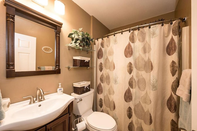 bathroom featuring vanity, a shower with curtain, and toilet