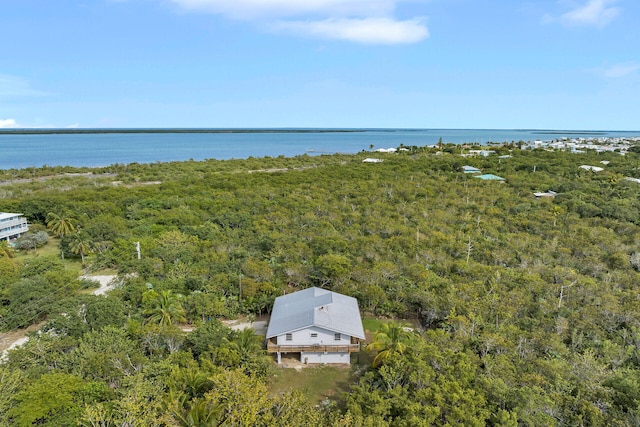 aerial view featuring a water view and a forest view