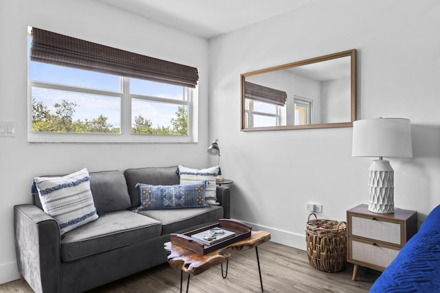 living room with light hardwood / wood-style flooring