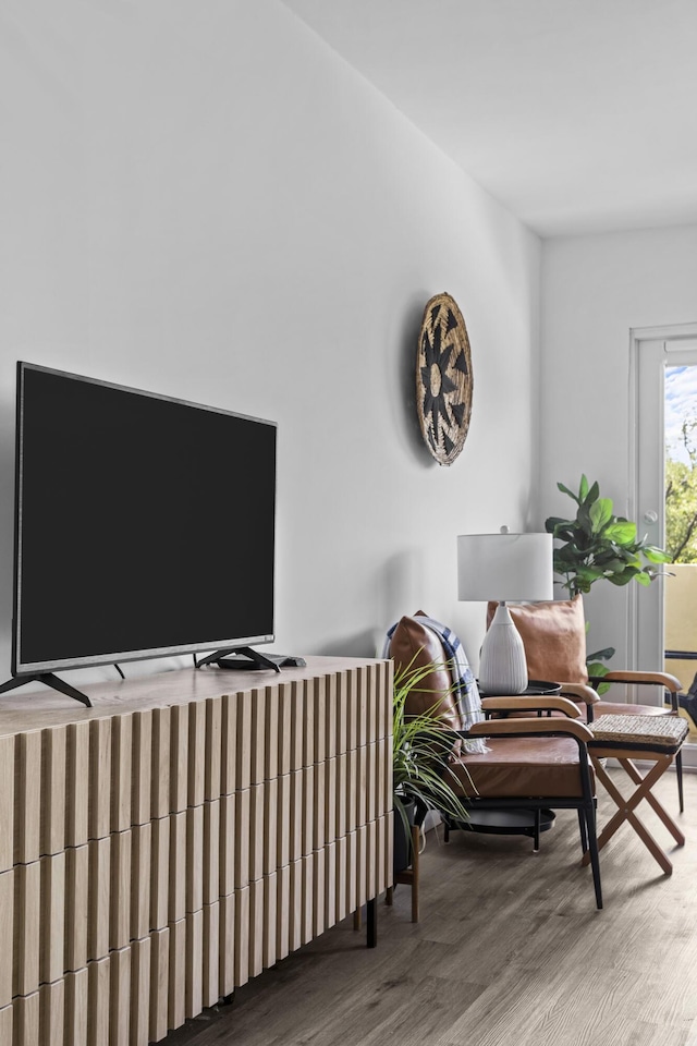 living room featuring wood-type flooring