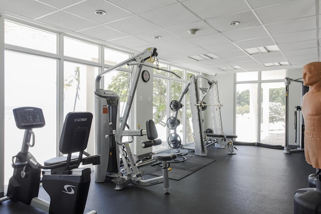 workout area with floor to ceiling windows and a drop ceiling