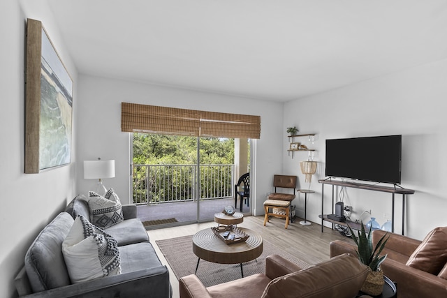 living room featuring hardwood / wood-style flooring