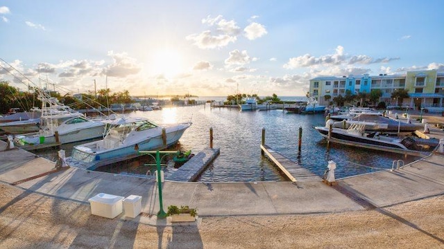 dock area featuring a water view