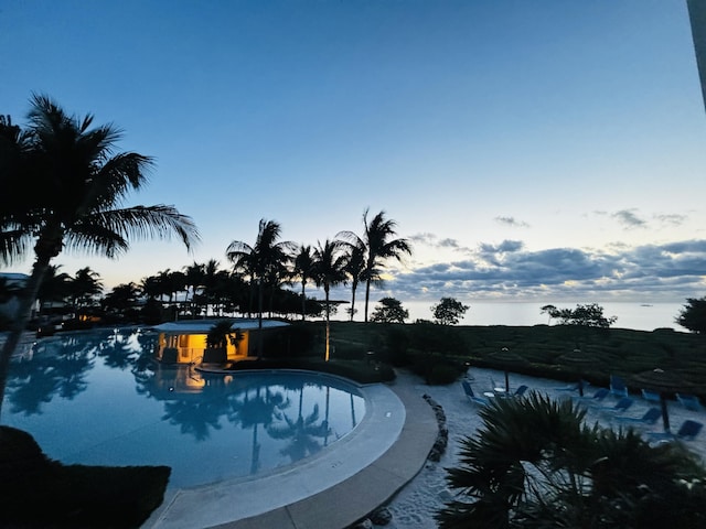 view of swimming pool