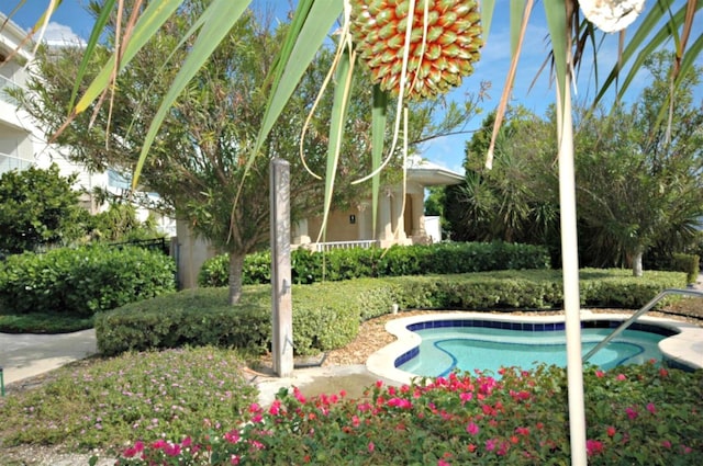 view of swimming pool with a pool