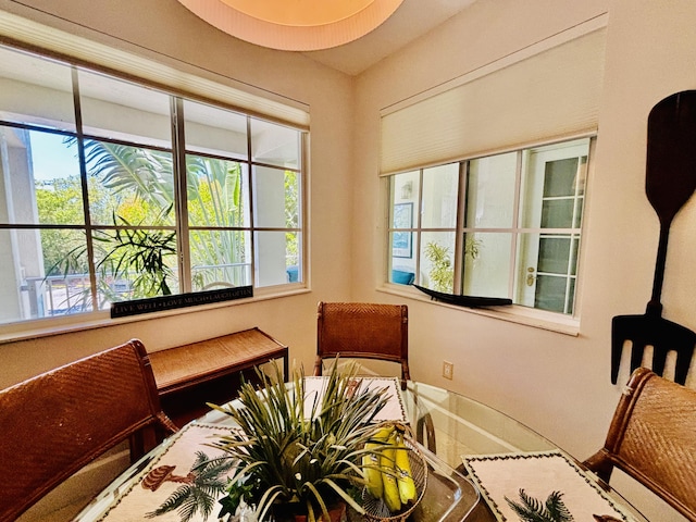 dining area featuring a wealth of natural light