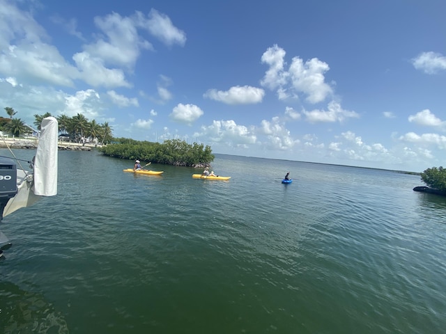 property view of water