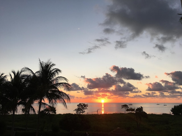 nature at dusk featuring a water view