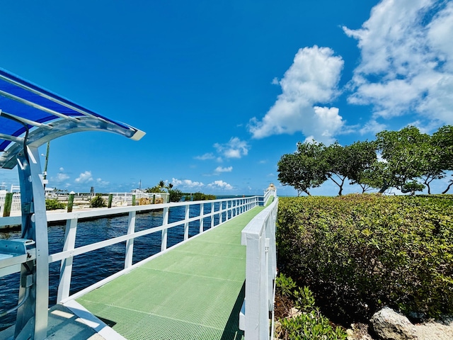 dock area with a water view