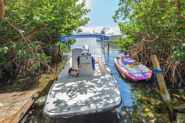 dock area with a water view