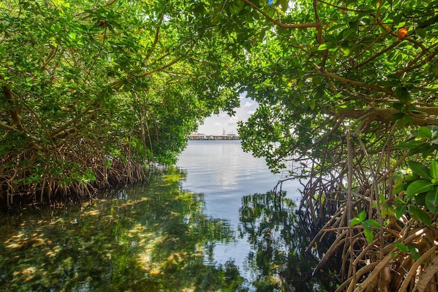 901 Eisenhower Dr, Key West, FL 33040 - water view
