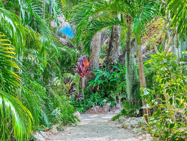 view of landscape