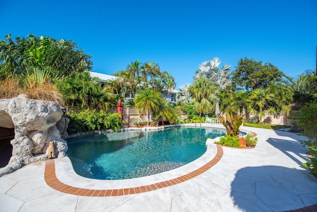 view of pool featuring a patio area