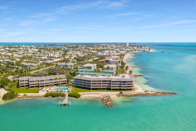 drone / aerial view with a water view and a view of the beach