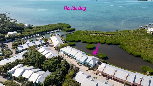 birds eye view of property featuring a water view