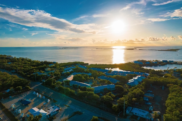 aerial view at dusk featuring a water view