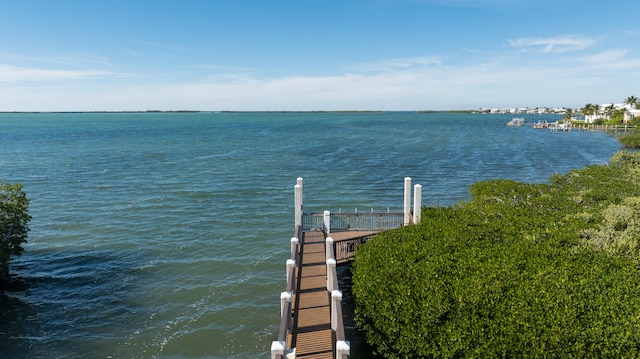 dock area with a water view