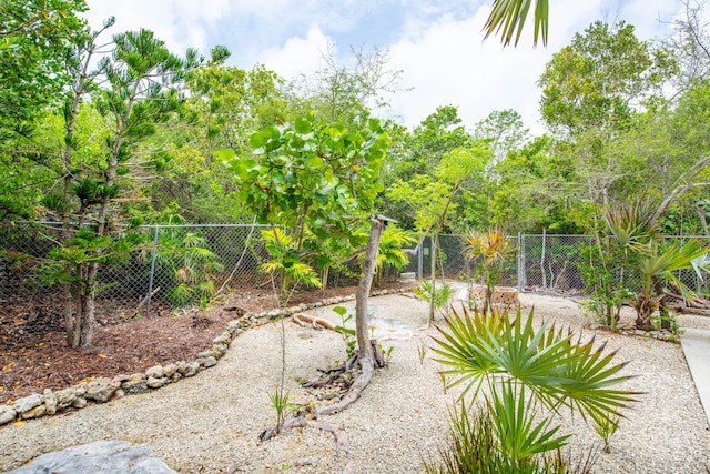 28212 Gato Rd, Little Torch, FL 33042 - view of yard