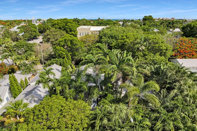 820 Carsten Ln, Key West, FL 33040 - aerial view of a tree filled landscape