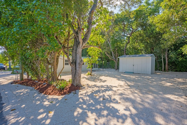 view of yard with a shed