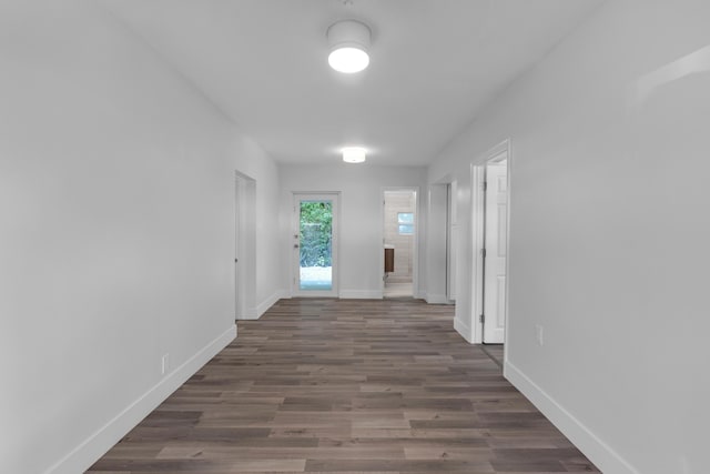 hall featuring dark wood-type flooring