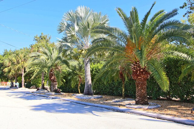 30 Ocean Front Dr, Key Largo, FL 33037 - view of property's community