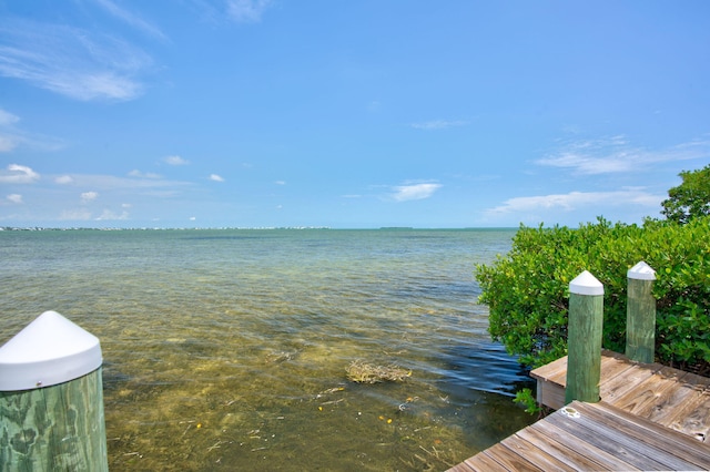 view of water feature with a dock