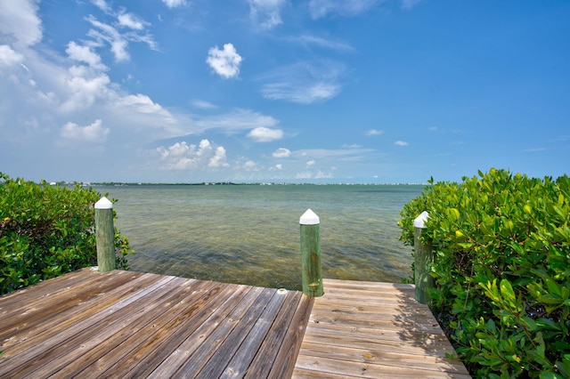 dock area featuring a water view