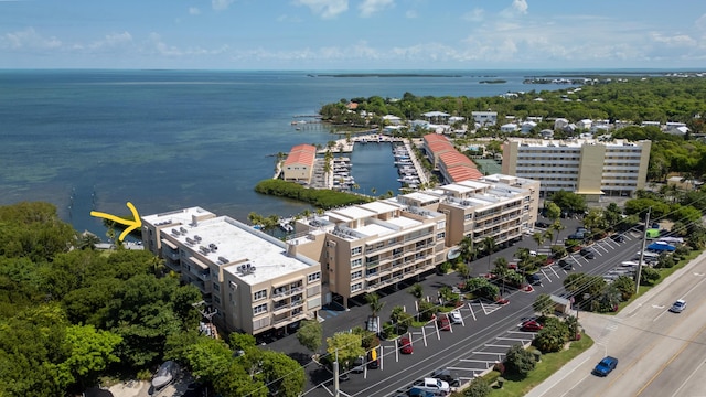 aerial view with a water view