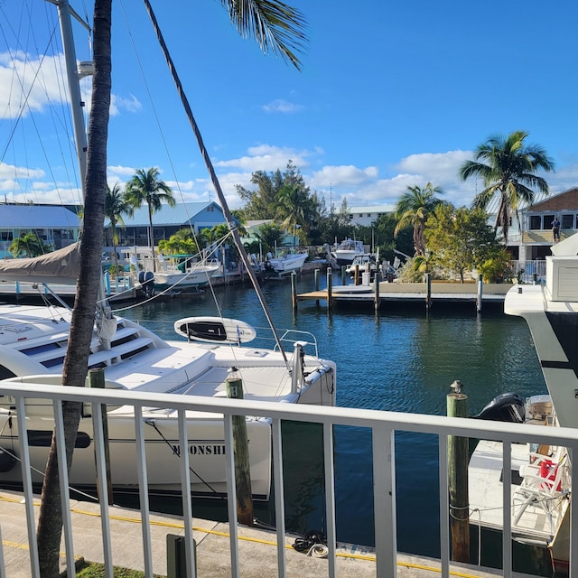 dock area with a water view