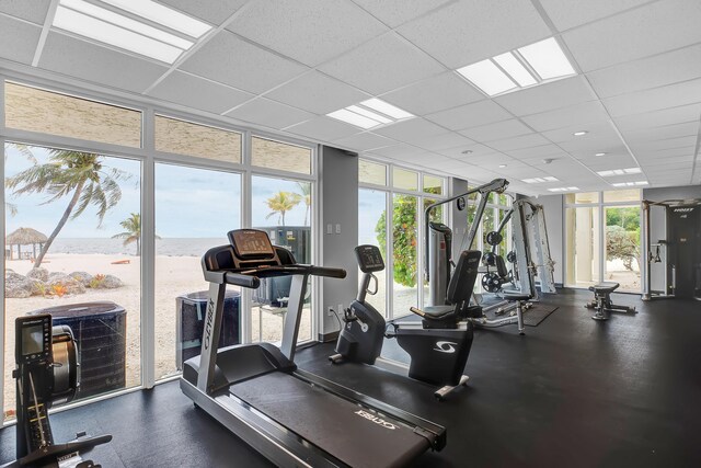 gym featuring a paneled ceiling and floor to ceiling windows