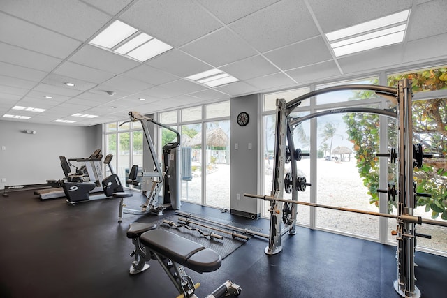 workout area featuring a wall of windows and a paneled ceiling