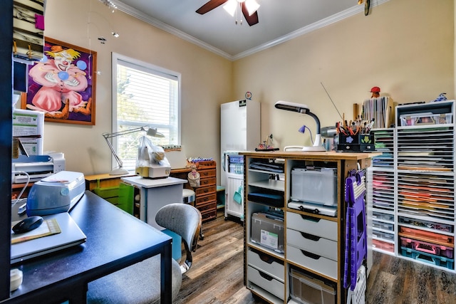 office featuring ornamental molding, ceiling fan, and wood finished floors