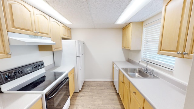 kitchen with under cabinet range hood, white appliances, a sink, and light brown cabinetry