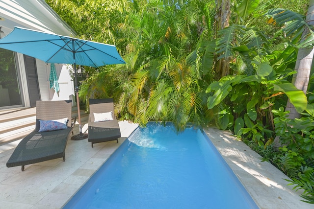 view of swimming pool with a patio