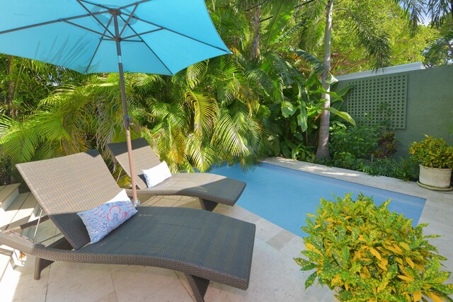 view of swimming pool featuring a patio area